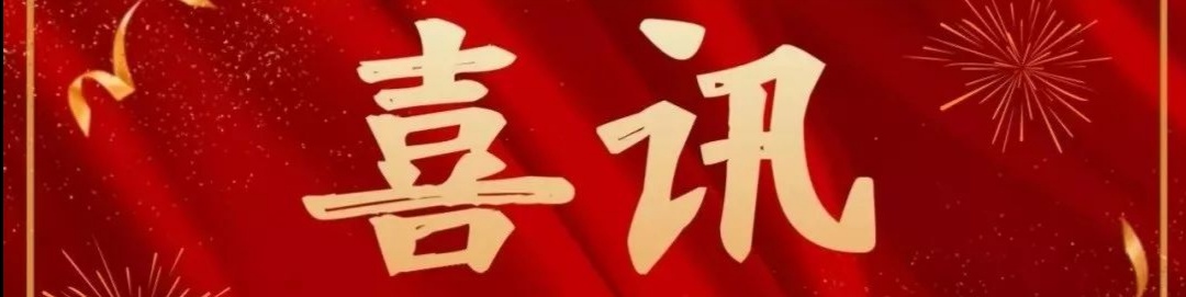醫術(shù)精湛保健康 高尚醫德為患者